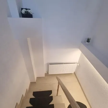 Apartament Morii Home's