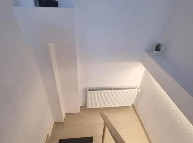 Apartament Morii Home's